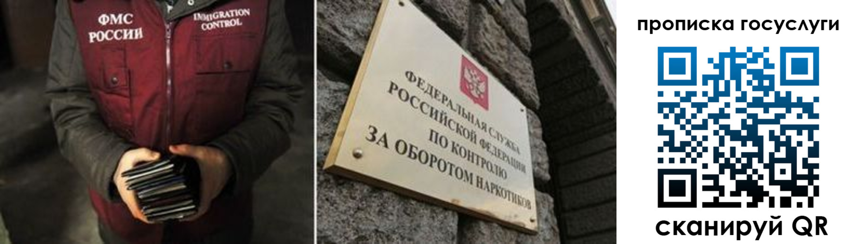 временная регистрация поиск в Курской области